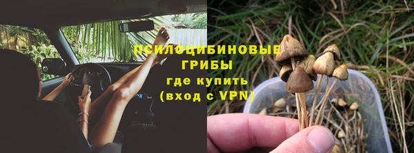 кристаллы Богданович