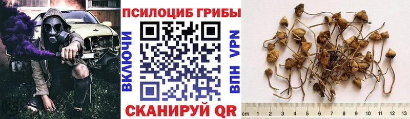 закладки  Луховицы  Псилоцибиновые грибы ЛСД 